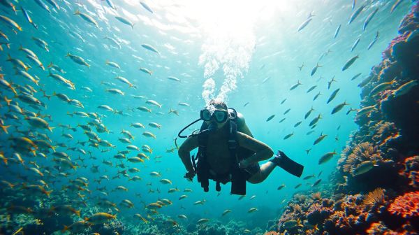 Les équipements essentiels pour une plongée sous-marine sécurisée